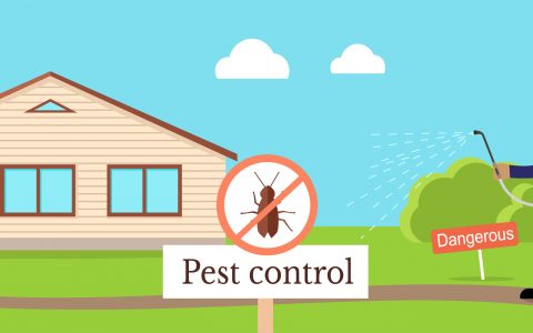 You Get Pest Control Done In Your House After House Cleaning