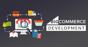 Bigcommerce development - Nerder