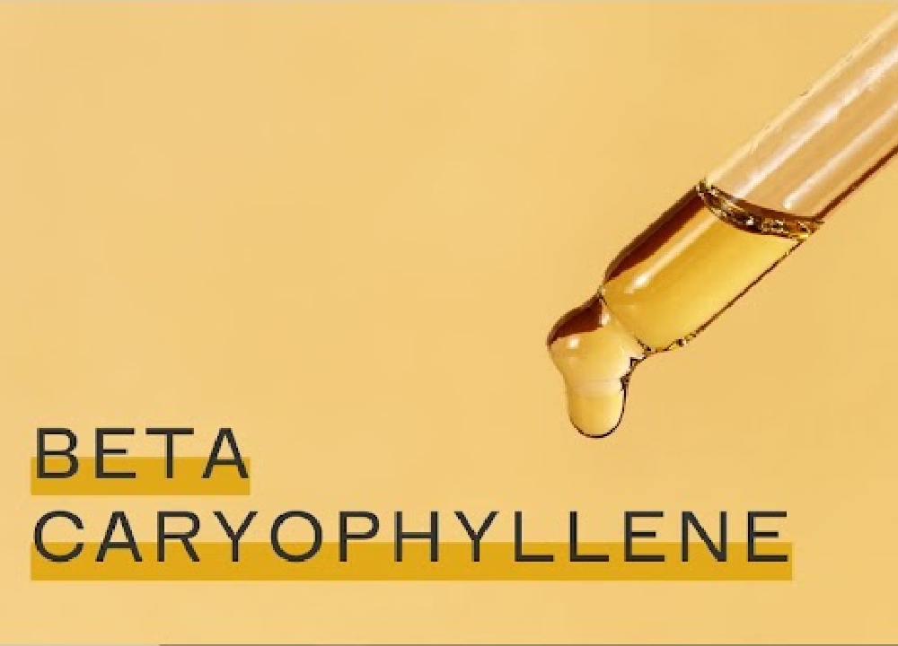 Beta-Caryophyllene Side Effects